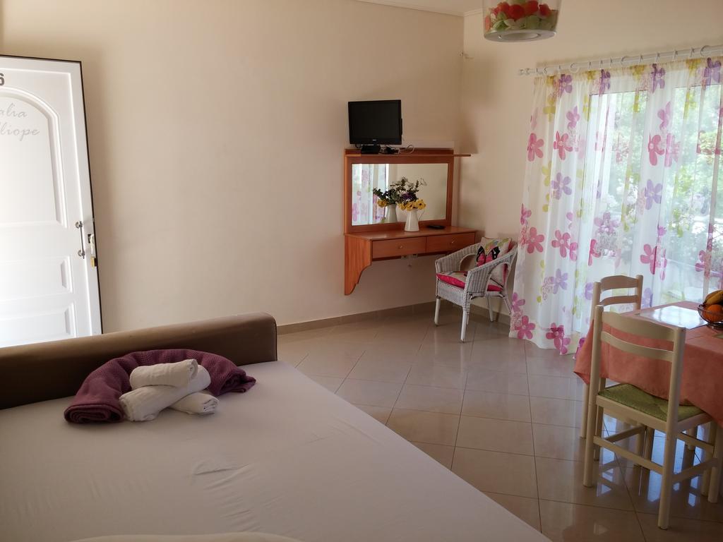 Villa Muses Poros Town Pokoj fotografie